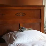 Old