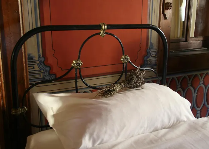 老普罗夫迪夫旅馆 招待所 *