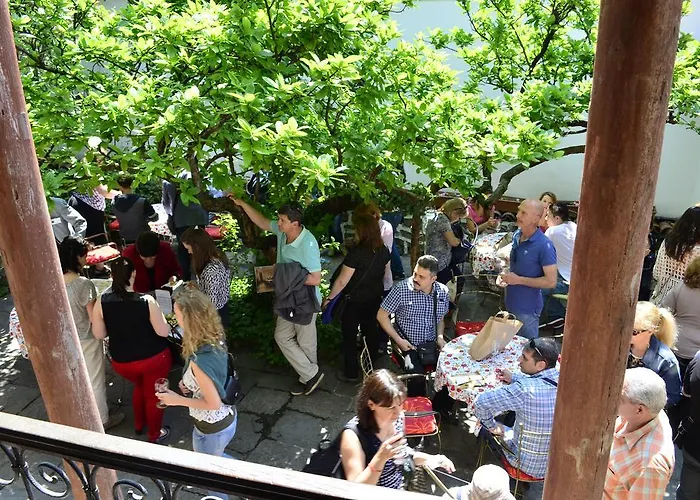 招待所 老普罗夫迪夫旅馆 *